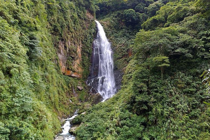 1D Tour to Cingjing Farm from Taichung - Key highlights at a glance