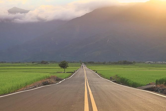 8-Day Around Taiwan Private Tour - Key Highlights You’ll Actually Feel Day to Day