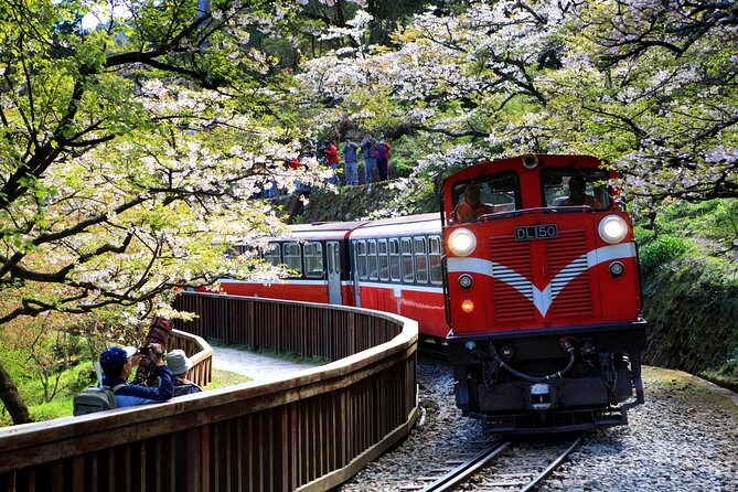 8 Day Private Tour Around Taiwan - Day 4 Taroko National Park plus beach buggy fun