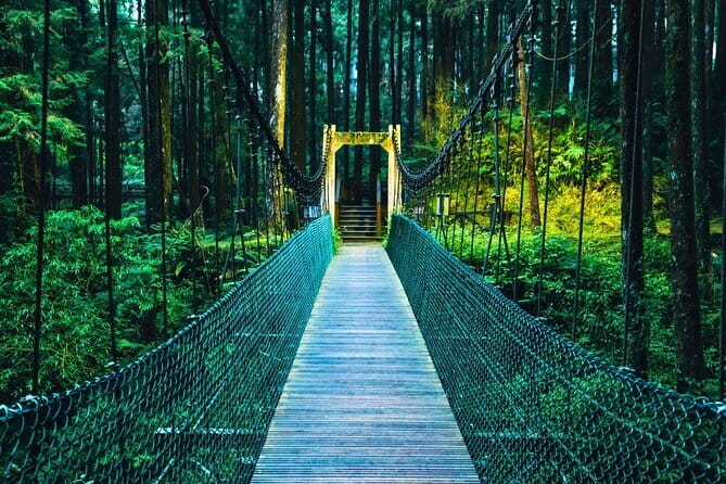 Alishan Join In Day Tour from Taichung (Incl. Park Entrance) - Key highlights worth your attention