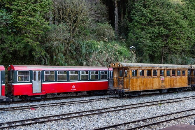 Alishan Join In Day Tour from Taichung (Incl. Park Entrance) - From Taichung to Alishan in one day, without the transport headache