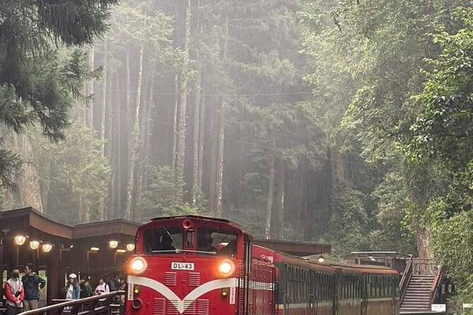 Alishan One Day Tour from Taichung - Why an Alishan one-day trip from Taichung is worth the long ride
