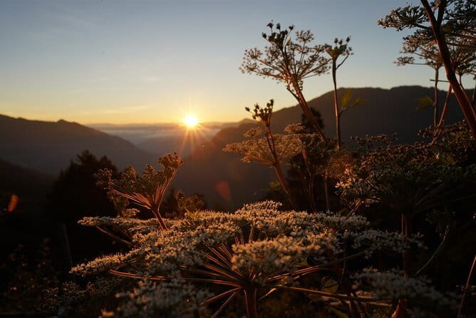 Alishan One Day Tour from Taichung - Getting to Alishan: timing, weather, and how the day can stretch