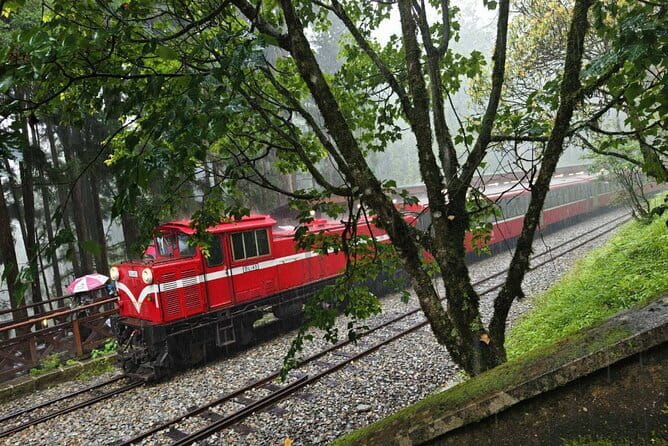 Alishan One Day Tour from Taichung - Price and value: what you pay for, and what you still need to book