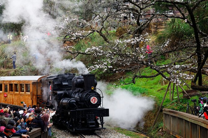 Alishan Taiwan 2 Day Private Tour from Taipei - Transportation Comfort Between Taipei and Alishan