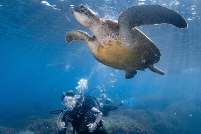 Discover Scuba Diving With Sea Turtles – Xiaoliuqiu, Taiwan