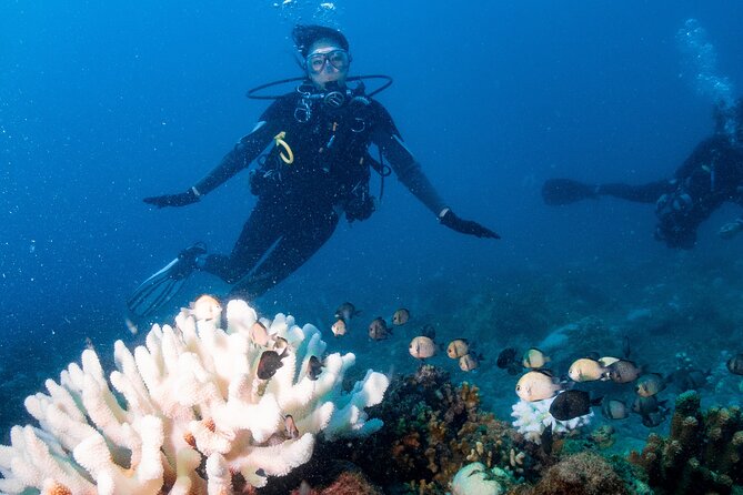 Discover Scuba Diving With Sea Turtles - Xiaoliuqiu, Taiwan - Gear, cylinder, and the instructor attention that makes it feel safe