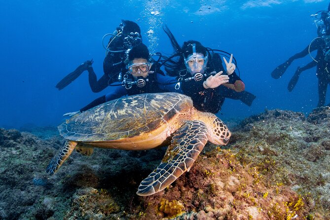 Discover Scuba Diving With Sea Turtles - Xiaoliuqiu, Taiwan - Underwater photos you do not have to earn