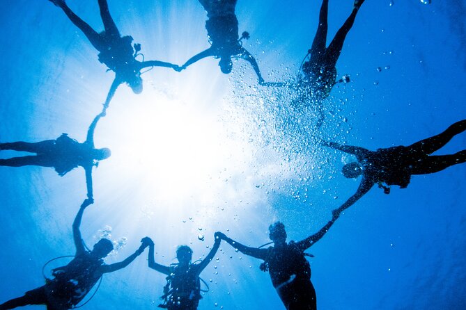 Discover Scuba Diving With Sea Turtles - Xiaoliuqiu, Taiwan - Meeting point and how to plan your timing
