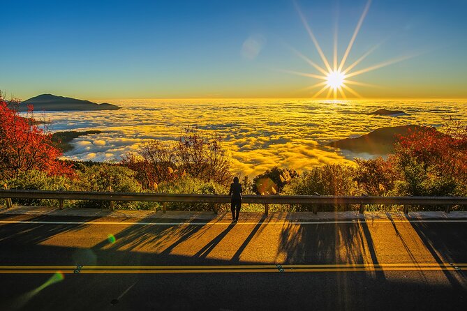 Exclusive 3-Day Sun Moon Lake & Alishan Private Tour - Quick Hits You’ll Actually Use