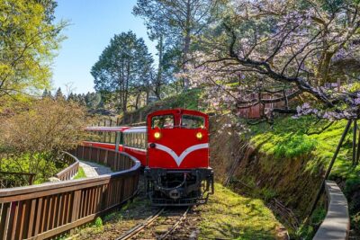 Exclusive 3-Day Sun Moon Lake & Alishan Private Tour