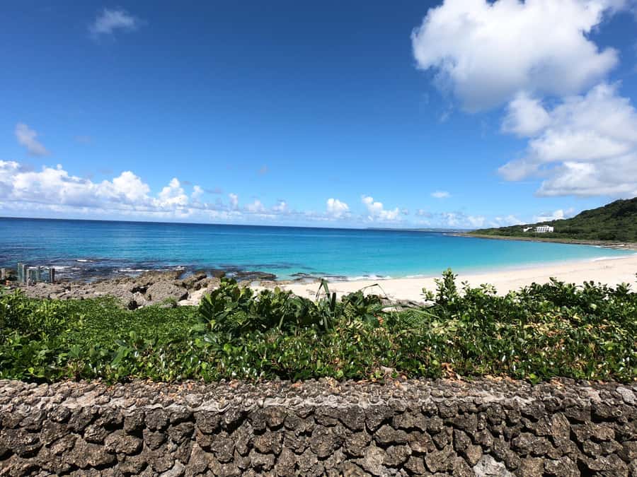 From Kaohsiung: Kenting & Ocean Coast Private Day Tour - Kenting from Kaohsiung in one comfortable 9-hour private day
