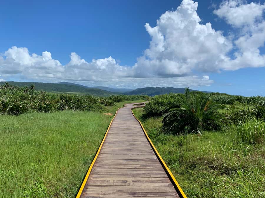 From Kaohsiung: Kenting & Ocean Coast Private Day Tour - National Museum of Marine Biology: a smart start, not a half-day project