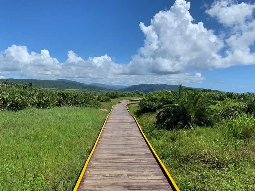 From Kaohsiung: Kenting & Ocean Coast Private Day Tour - Longpan Park: the finale with rolling cliff and open sea views