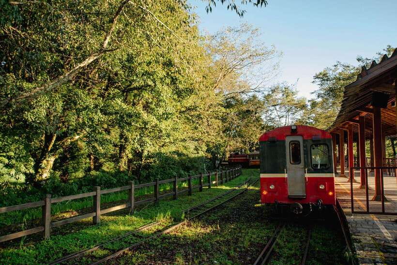 From Taipei City: 3-Day Sun Moon Lake & Alishan Private Tour - Alishan Forest Railway: train rides and cloud-chasing mornings