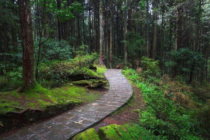 From Taipei City: 3-Day Sun Moon Lake & Alishan Private Tour - Private pickup from Taipei and the first long scenic run