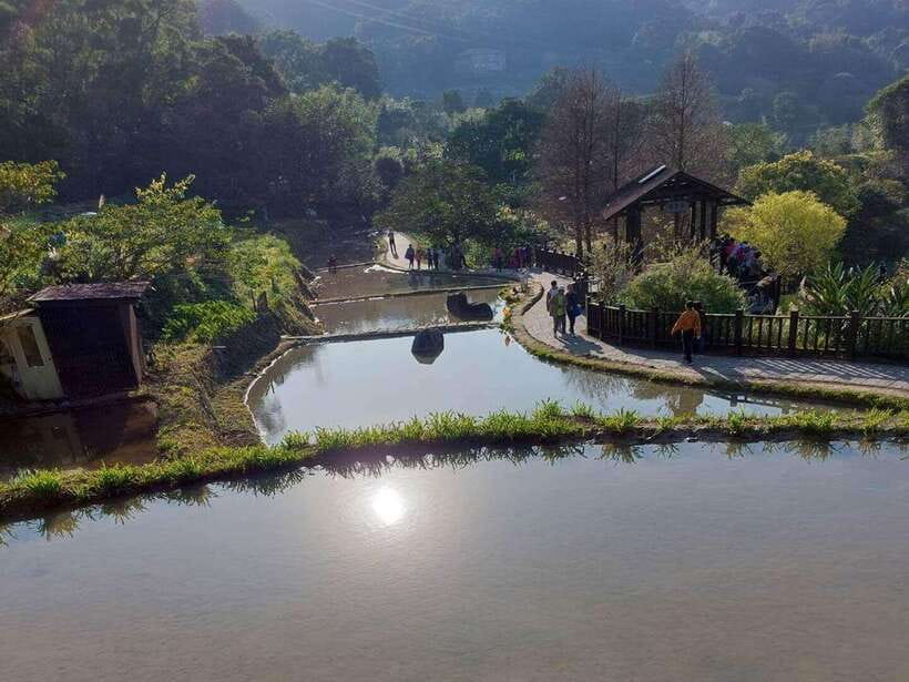 From Taipei: Pinglin Tea Culture and Maokong Guided Day Tour - Maokong Gondola: The Long Ride That Turns Taipei Into a View