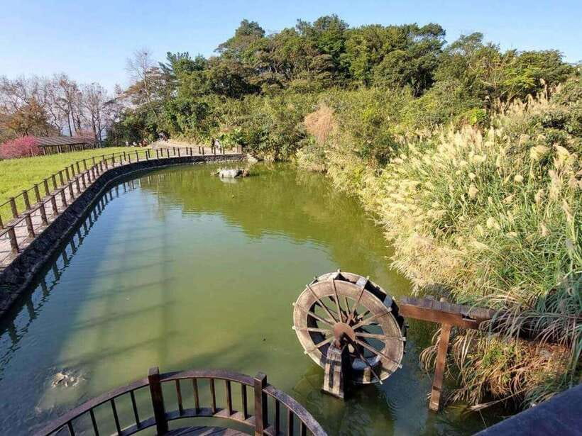 From Taipei: Pinglin Tea Culture and Maokong Guided Day Tour - Zhanghu Trail and Tea Walk Options: Walking That Fits the Scenery