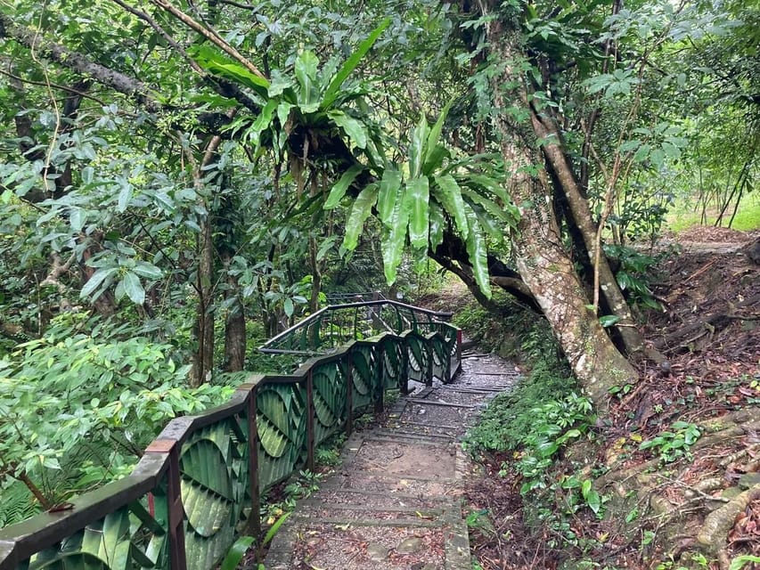 From Taipei: Pinglin Tea Culture and Maokong Guided Day Tour - Lunch in Maokong: Teahouses, Tea Smells, and Local Snacks