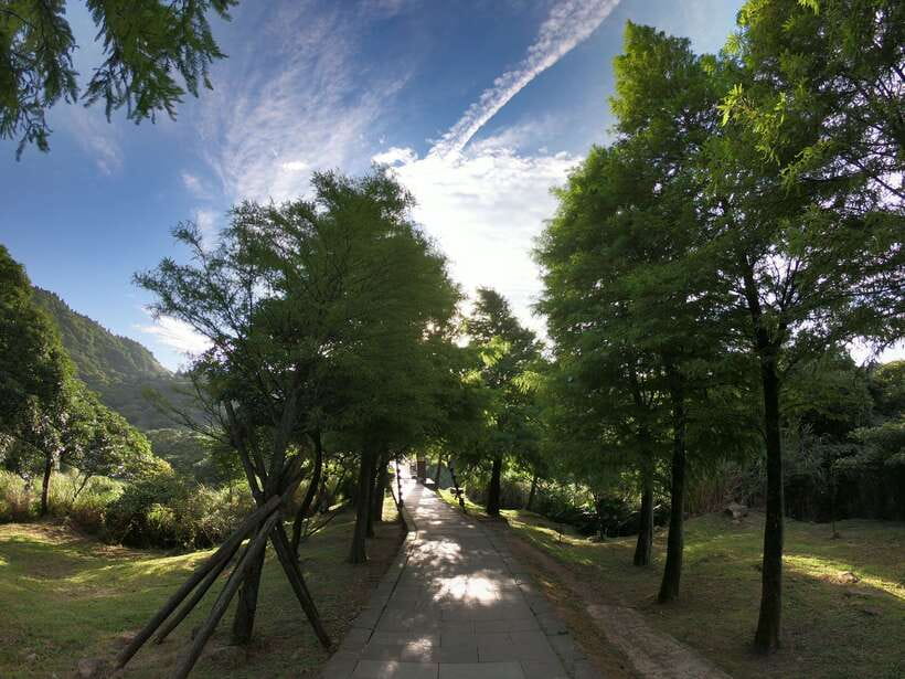 From Taipei: Private Yangmingshan Volcano and Nature Tour - What Makes This Private Driver-Guide Style Actually Work
