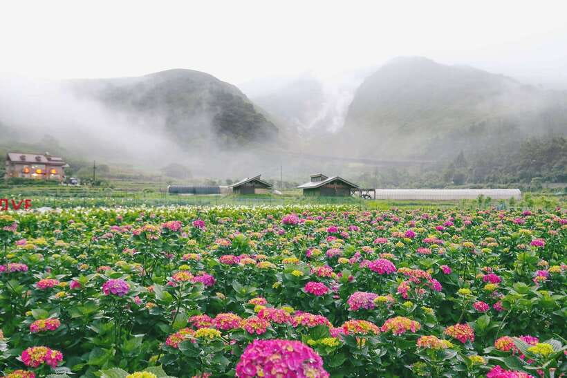 From Taipei: Private Yangmingshan Volcano and Nature Tour - Taipei Pickup to Yangmingshan: How the Day Gets Sorted Fast