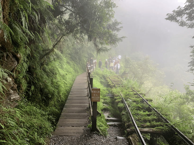 From Taipei: Taipingshan National Forest Private Day Tour - Why Taipingshan Feels Different From a Typical Taipei Day