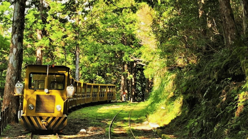 From Taipei: Taipingshan National Forest Private Day Tour - Jianqing Huaigu Trail: The Walk That Sets the Tone