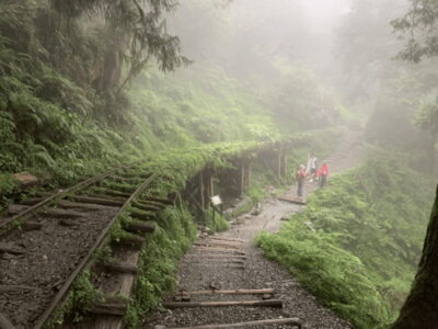 Taipingshan National Forest Private Day Tour