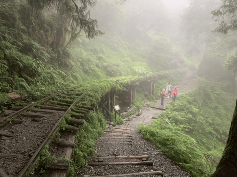 From Taipei: Taipingshan National Forest Private Day Tour - Private Pickup From Taipei City, and the Value of Having Your Own Guide