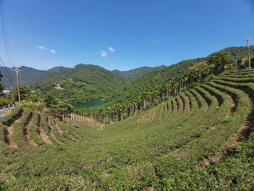 From Taipei: Thousand Island Lake and Pinglin Tea Plantation - Getting to Shiding: The Ride Out of Taipei Matters