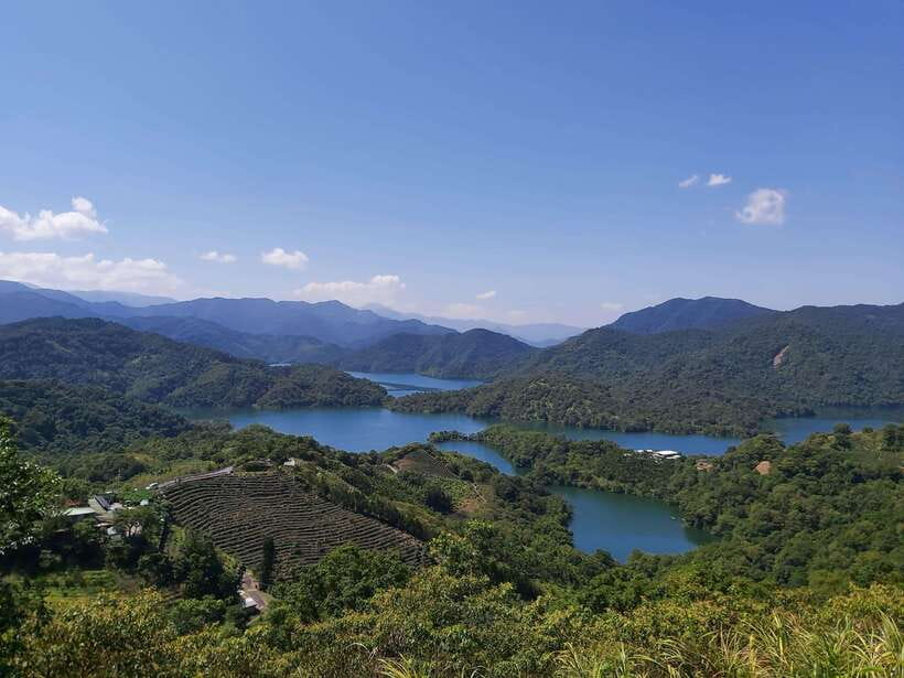 From Taipei: Thousand Island Lake and Pinglin Tea Plantation - Pinglin Tea Plantation: The Part Tea Lovers Usually Remember