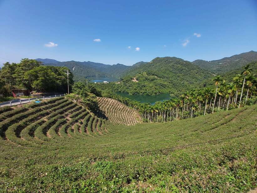 From Taipei: Thousand Island Lake and Pinglin Tea Plantation - Pinglin Old Street: Short, Sweet, and Good for Souvenirs