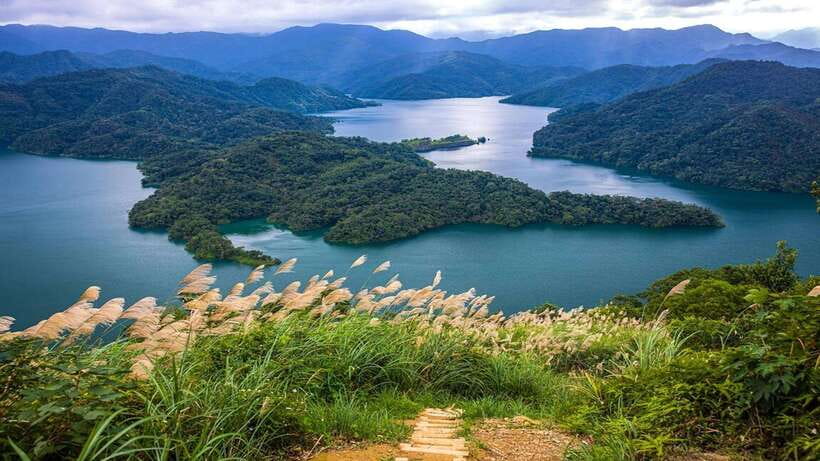 From Taipei: Thousand-Island Lake & Tea Museum Private Tour - Price and what you actually get for $88 per person