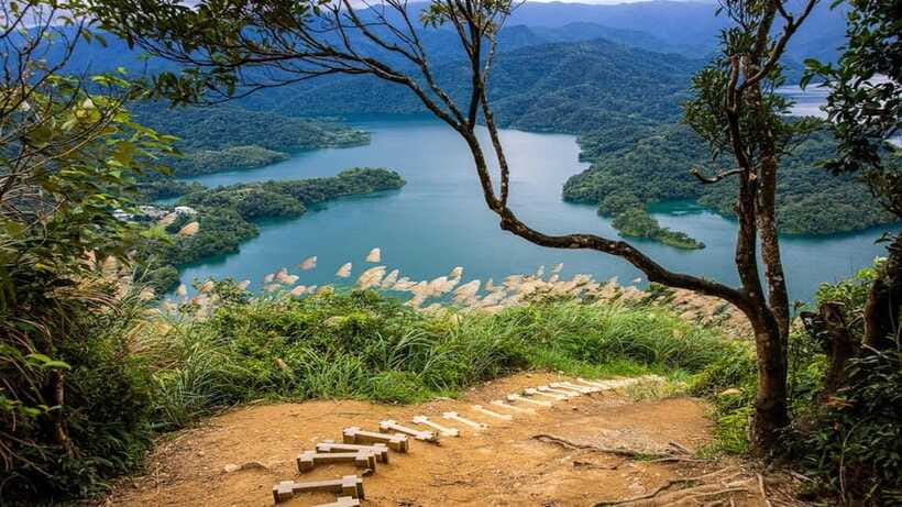 From Taipei: Thousand-Island Lake & Tea Museum Private Tour - Private group setup: car vs van vs bus