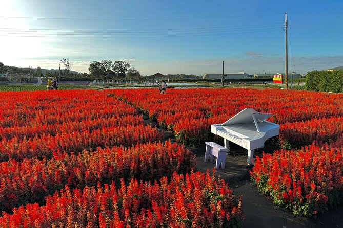 Gaomei Wetlands, Rainbow Village, Miyahara & Zhongshe from Taipei - The smart loop: Taipei to Taichung and back in one day