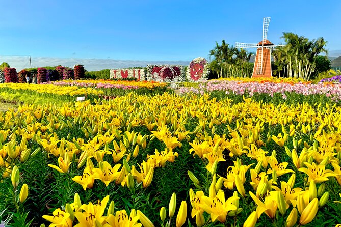 Gaomei Wetlands, Rainbow Village, Miyahara & Zhongshe from Taipei - Zhongshe Tourist Flower Market: your year-round Taichung flower fix