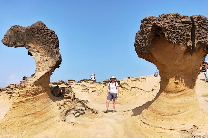 Half Day Private Tour to Yangmingshan National Park and Yehliu Geopark - Quick hits before you go