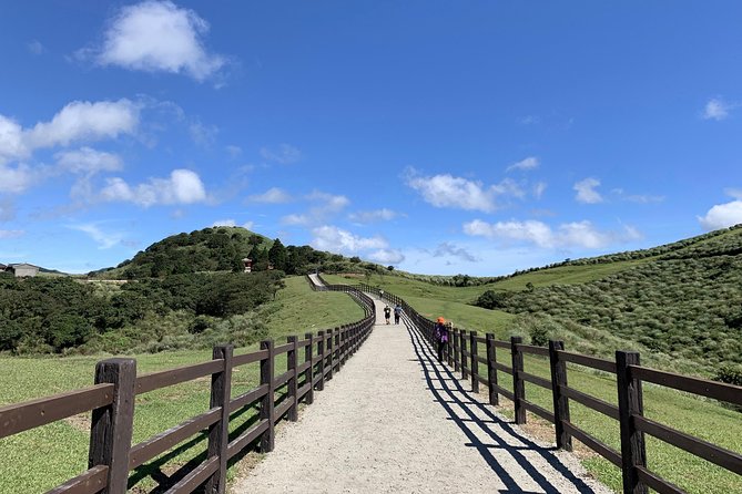 Half Day Private Tour to Yangmingshan National Park and Yehliu Geopark - Stop 2: Yangmingshan National Park, higher elevation views and possible macaques