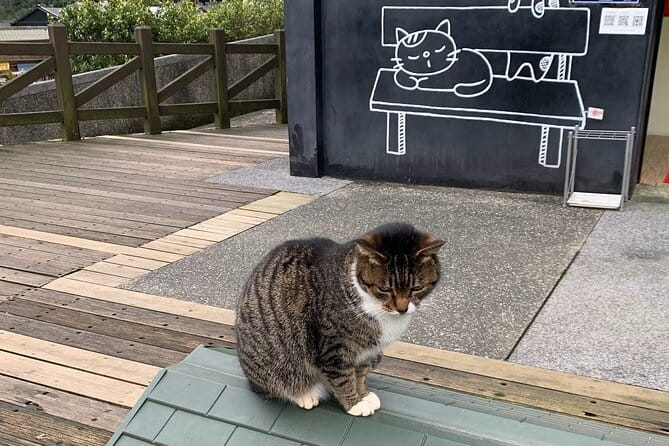 Jiufen, Shifen and Houtong Cat Village Private Tour - Price and value: what $110 per person really covers