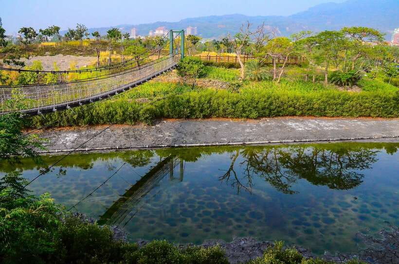 Kaohsiung: Private Walking Tour with a Local - Cultural insights and local hangouts, without the hard sell