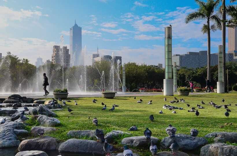 Kaohsiung: Private Walking Tour with a Local - Comfort and logistics that actually matter on a walking day