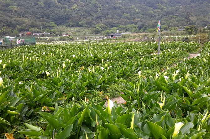 Keelung port pick up day tour ( private group) - The 8-Hour Rhythm: Timing, Overtime, and Staying On Track