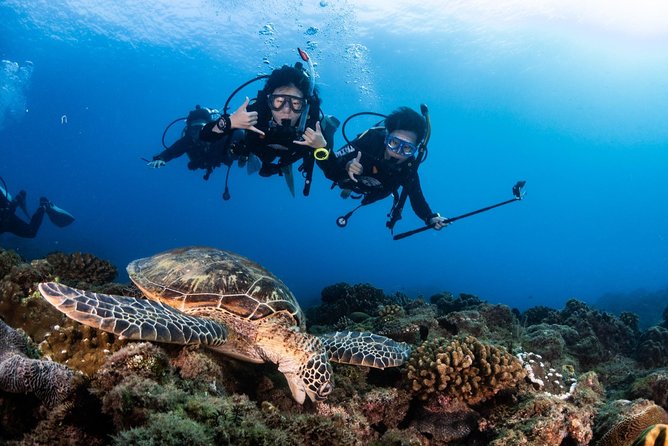 Kenting, Taiwan｜PADI Basic Diving License Course｜Taiwan Diving Open Water Course - Price and value: what you get for about $83
