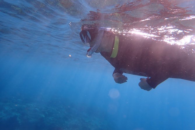 Kenting, Taiwan｜Snorkeling Free underwater photography One-on-one with instructor｜Taiwan Diving Snorkeling - Gear, Swimsuit Rules, and Safety With a Small Coach Group