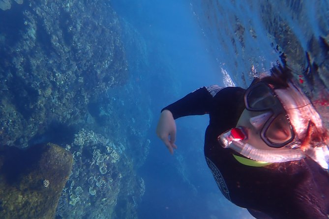 Kenting, Taiwan｜Snorkeling Free underwater photography One-on-one with instructor｜Taiwan Diving Snorkeling - The Snorkeling Session: Fish, Corals, and Time for Photos