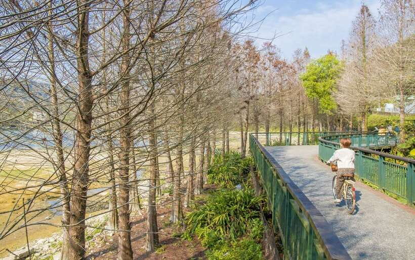 Nantou: Sun Moon Lake Combo - Ropeway at Ita Thao: a short gondola ride with big lake context
