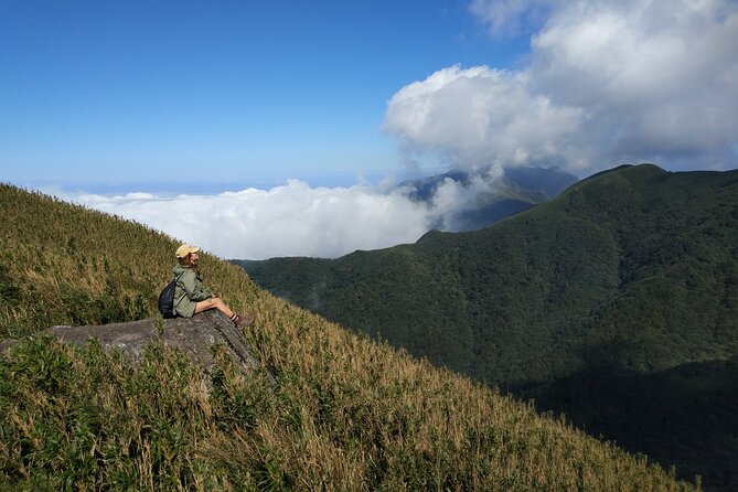 One Day Hike around Taipei's Yangmingshan National Park - Private Transport From Taipei, Pickup Included