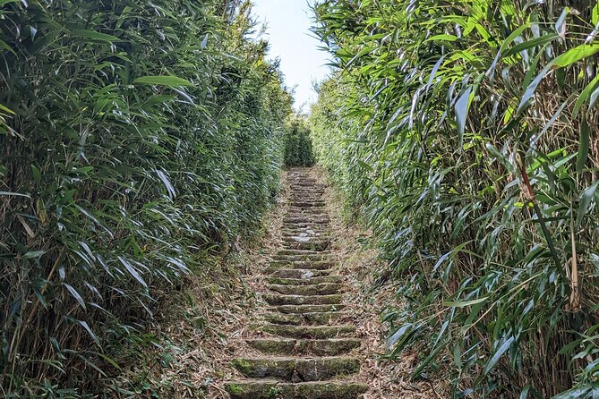 One Day Hike around Taipei's Yangmingshan National Park - Weather Matters: Rain Plans and What to Wear