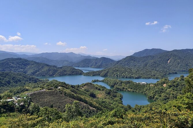 Pinglin Tea Culture & Maokong Day Tour from Taipei - What You Get for the $85 Price Tag (and Why It Feels Fair)