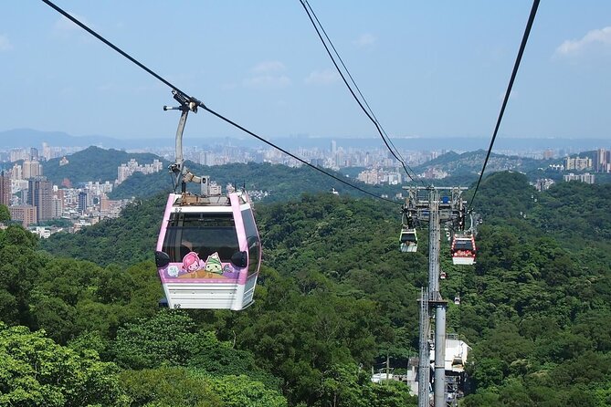 Pinglin Tea Culture & Maokong Day Tour from Taipei - Bagua Tea Garden: Hill Views and Tea Terraces